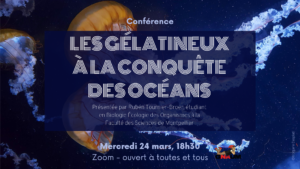 conférence Les Gélatineux à la conquête des océans présentée par Rubén Tournier-Broer, étudiant en Biologie Ecologie des Organismes à la Faculté des Sciences de Montpellier, mercredi 24 mars 18h30 Zoom ouvert à toutes et tous