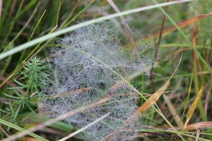 16-09-24 Olhaitz C (17)